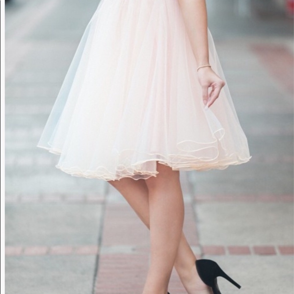 HPπBLUSH\\ π₯Tulle Skirt\\ - Picture 2 of 8